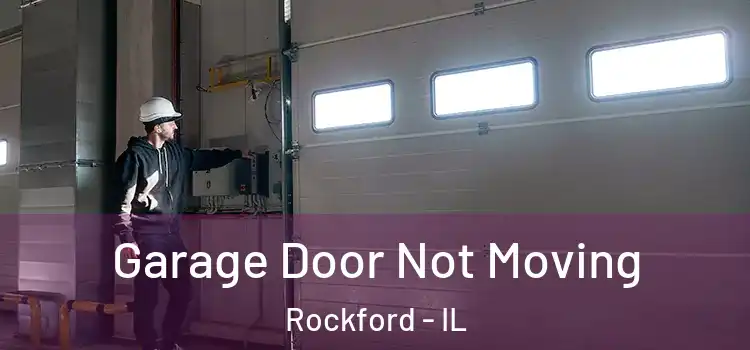  Garage Door Not Moving Rockford - IL