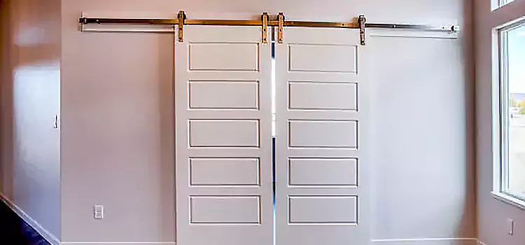Glass Barn Door with Installation Hardware Kit Rockford